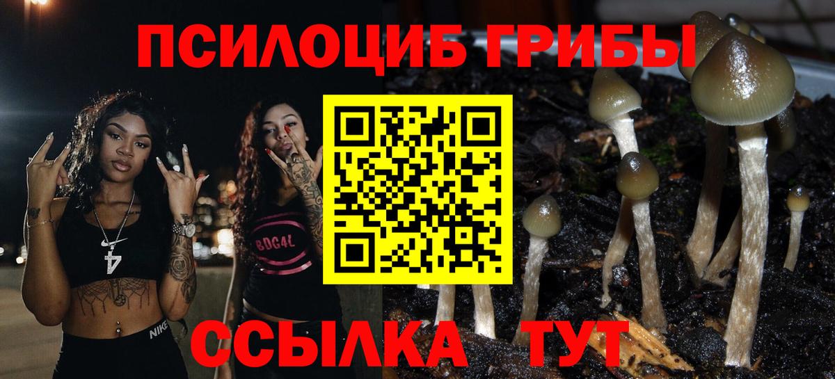 Галлюциногенные грибы Psilocybe  Вход с VPN  Шадринск  наркотики  Псилоцибиновые грибы MAGIC MUSHROOMS 