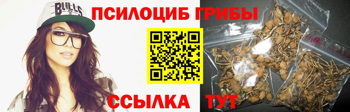 Галлюциногенные грибы мухоморы Шадринск